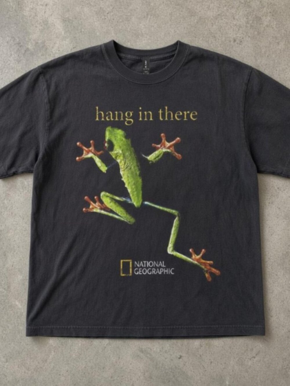 National Geographic green frog hang in there black tee